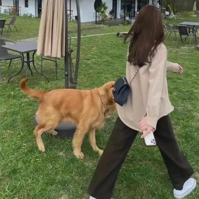 非常性反应